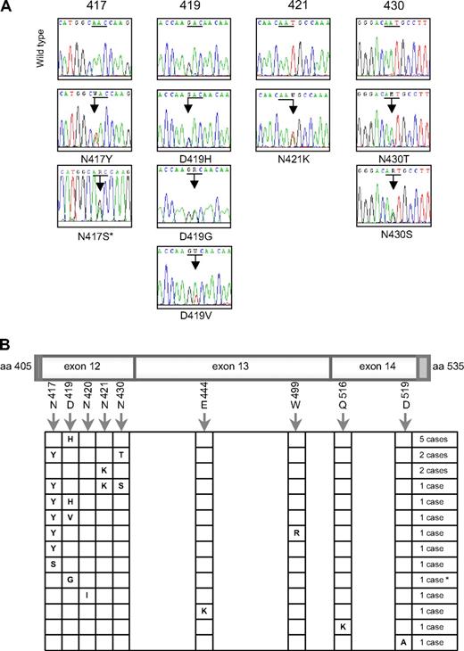 Figure 1. Heterozygous mutations in the DNA binding domain of STAT6 in PMBL. (A) Electropherograms showing partial STAT6 cDNA sequences for the 4 most frequently mutated codons (underlined). Mixed nucleotides are lettered according to International Union of Pure and Applied Chemistry (IUPAC) international code. *This sequence was performed by PCR amplification of genomic DNA (no RNA available). (B) Schematic localization of mutations in the region spanning nucleotides 1216 to 1581, corresponding to exon 12 (minus 4 bases in the 5′ dark gray part), exon 13, and exon 14 (minus 26 bases in the 3′ dark gray part) of STAT6 in the 20 mutated PMBL cases. *This case presents both a missense mutation of codon 419 and a silent mutation of codon 423 (c.A1269G, according to NM_003153.3).