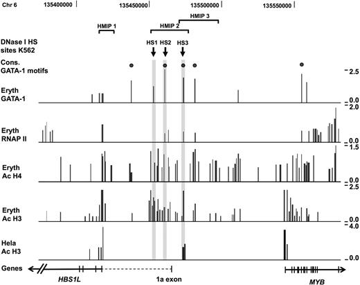 Figure 3. ChIP-chip data for the HBS1L-MYB intergenic region. Results from ChIP-chip experiments for GATA-1, RNAP II, AcH4, and AcH3 in erythroid precursors and AcH3 in HeLa cells. The figure covers a 210-kb region (position chr6: 135 373 000-135 582 000) and includes a part of the HBS1L gene, the intergenic region, and the MYB gene. The HMIP block 1, 2, and 3 are shown above indicated by the horizontal brackets. The figure also includes conserved GATA-1 motifs (●) and DNase I hypersensitive sites () as identified in hemin-induced K562 cells.