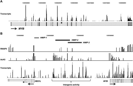 Figure 6. Transcript tiling array data from erythroid precursor cells. Results from 1 representative experiment are presented. (A) Transcript signal from the MYB genomic region shows very clear activity in exons and demonstrates that the array design and methodology are robust, given that MYB is highly expressed in the cells used. Occasional strong intronic signals were not coincident with spliced or unspliced ESTs and may therefore represent uncharacterized control elements or ncRNA. (B) Transcript data including HBS1L, MYB, and the intergenic region. The HbF-associated HMIP blocks 1 and 2 cover a region of high transcriptional activity. Again, there is no evidence of either spliced or unspliced ESTs. Given their magnitude in relation to the MYB signals and their complete consistency between different cultures tested, the intergenic signals are likely to represent important regulatory sequences.