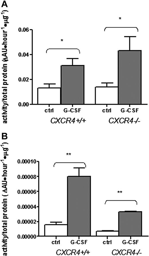 Figure 2. Bone marrow metalloproteinases and neutrophil elastase are induced normally in CXCR4−/− chimeras. Bone marrow chimeras (n = 2-4 each group) reconstituted with wild-type (CXCR4+/+) or CXCR4−/− fetal liver cells were treated with G-CSF or left untreated (ctrl) and bone marrow plasma was isolated. Metalloproteinase (A) and neutrophil elastase (B) activity in the bone marrow plasma was estimated by measuring cleavage of labeled substrate and normalizing for protein content. Data represent mean ± SEM; *P < .05; **P < .01.