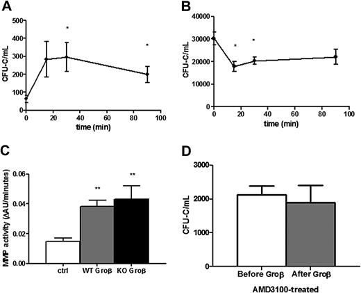 Figure 4. Groβ administration decreases the number of circulating HSPCs in CXCR4−/− chimeras. Circulating CFU-Cs were measured in CXCR4+/+ (A, n = 3-6) and CXCR4−/− (B, n = 5-11) chimeras at the indicated time points after administration of Groβ (2.5 mg/kg). (C) CXCR4+/+ (WT) or CXCR4−/− (KO) chimeras (n = 3-4 each group) were treated with Groβ or left untreated (ctrl). Serum was collected 15 minutes after treatment and assayed for metalloproteinase activity. (D) Wild-type mice (n = 4 each group) were given a single injection of AMD3100 (5 mg/kg) and 3 hours later Groβ was administered. Shown is number of circulating CFU-Cs before and 15 minutes after Groβ administration. Data represent mean ± SEM; *P < .05 compared with pretreatment; **P < .01 vs control.