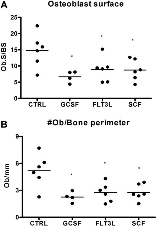 Figure 6. Loss of bone marrow osteoblasts is associated with cytokine-induced mobilization. Mice (n = 4-6 each group) were treated with G-CSF, Flt3L, or SCF for 7 days. Bone marrow osteoblasts were enumerated in H&E-stained paraffin sections using standard histomorphometric technique. Shown is the percentage of osteoblast-covered bone surface (A) and number of osteoblasts per bone perimeter (B). Data represent mean ± SEM; *P < .05.
