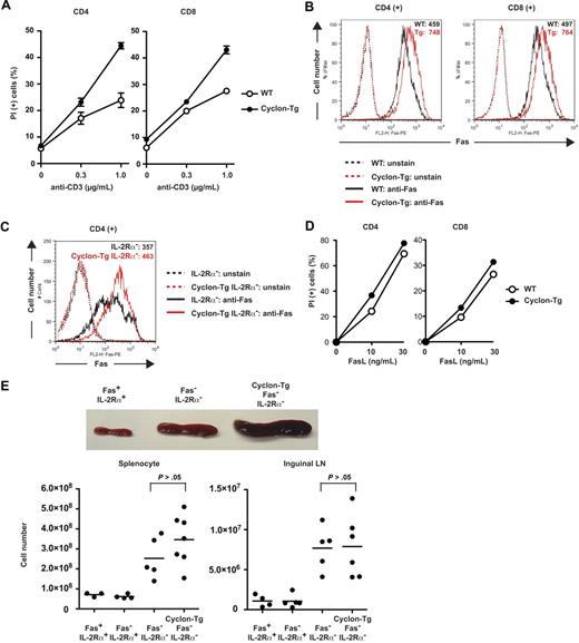 Figure 5. Cyclon positively regulates AICD through up-regulation of Fas expression. (A) Increased AICD of T cells by transgenic expression of Cyclon. CD4+ or CD8+ T cells sorted magnetically were activated with anti-CD3 Ab (2 μg/mL) and anti-CD28 Ab (2 μg/mL) for 2 days. Live cells were purified by density centrifugation and restimulated with different concentrations of anti-CD3 in the presence of IL-2 (5 ng/mL). Cells were incubated for 2 days (left panel, CD4+ T cells) or 3 days (right panel, CD8+ T cells), and viability was examined by PI staining and flow cytometry. Indicated are representative data using WT and Cyclon-Tg littermates from 4 independent experiments. (B) Transgenic expression of Cyclon enhances Fas expression. CD4+ or CD8+ T cells were activated with anti-CD3 Ab (2 μg/mL) and anti-CD28 Ab (2 μg/mL) for 2 days. Live cells were purified by density centrifugation and restimulated with anti-CD3 Ab (1 μg/mL) in the presence of IL-2 (5 ng/mL). Cells were incubated for 16 hours and stained with PE-conjugated anti-Fas Ab. (C) Transgenic expression of Cyclon enhances Fas expression on IL-2Rα− CD4+ T cells. CD4+ T cells sorted magnetically were activated with anti-CD3 Ab (2 μg/mL) and anti-CD28 Ab (2 μg/mL) in the presence of IL-15 (100 ng/mL) for 2 days. Cells were stained with PE-conjugated anti-Fas Ab. (D) Increased cell death by FasL stimulation of T cells by transgenic expression of Cyclon. CD4+ or CD8+ T cells were activated with anti-CD3 Ab (2 μg/mL) and anti-CD28 Ab (2 μg/mL) for 2 days. Live cells were purified by density centrifugation and restimulated with different concentrations of FasL in the presence of IL-2 (5 ng/mL). Cells were incubated for 24 hours, and viability was examined by PI staining and flow cytometry. Indicated are representative data using WT and Cyclon-Tg littermates from 4 independent experiments. (E) Cyclon transgenic expression fails to suppress splenomegaly and lymphadenopathy in Fas− IL-2Rα− mice. Spleens and numbers of splenocytes and inguinal lymph nodes from 7-week-old Fas+ IL-2Rα+, Fas− IL-2Rα−, and Cyclon-Tg Fas− IL-2Rα− mice are shown.