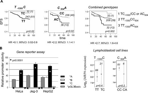 Figure 1. The impact of MRP polymorphisms on ALL outcome and transcription. (A) EFS curves for TC-1393, CA934, and combined MRP genotypes. Three groups are distinguished: group 1, with TC-1393 and CC or AC934 genotypes; group 2, with TT-1393 and CC934 genotypes; and group 3, with TT-1393 and AC934 genotypes. The genotype and the number of patients in each curve, numbers of persons with an event (in parentheses), as well as the P value, estimated by log-rank test for the survival differences between the patients groups, are indicated on each plot. Times to event were measured as the time between diagnosis and the event of interest; for censored cases, it corresponded to time between diagnosis and the study endpoint (5 years after treatment, ie, 84 months after diagnosis) or to the last observational period. Risk of event associated with the given genotype, expressed as univariable hazard ratio (HR) with 95% CI estimated by Cox regression analysis, is indicated below the plots. Similar results as those shown for EFS were obtained for disease-free survival (P ≤ .02). A similar, but not significant, trend was observed for overall survival for persons with the TC-1393 genotype (P = .07), whereas there was no association for AC934 genotype (P = .4). (B) Relative promoter activity and mRNA levels in lymphoblastoid cell lines in relation to MRP promoter haplotypes. Relative promoter activity (mean ± SD) obtained by luciferase reporter assay for MRP haplotypes *A, *B, and *C is represented by , □, and ■, respectively. Empty vector is represented by a light gray bar. The values are given for 3 different cell lines, Human placental Jeg-3, cervical cancer HeLa, and hepatoma HepG2 (ATCC). The difference in promoter activity obtained by Student t test (*p) between haplotype *C and remaining haplotypes (*A or *B) is indicated on the plot. MRP expression derived from wide-genome expression dataset GSE172621 is presented. The mean value of expression with 95% CI, the number of persons represented by each line, and P value obtained by analysis of variance for the difference of expression between indicated genotypes, taken from HapMap data24 are given on the plots.