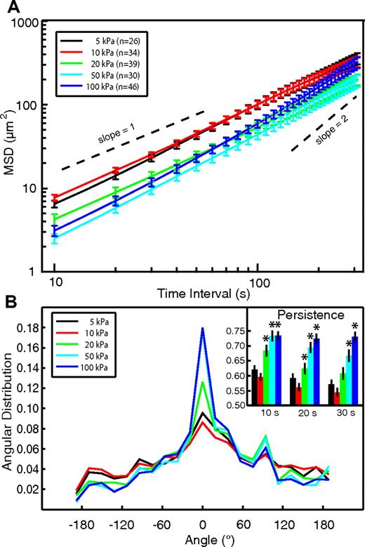 Figure 4. Analysis of mobility and directionality of neutrophils migrating on substrates of different stiffness. (A) The MSD is plotted as a function of time between steps. Neutrophils on the softer gels (5 and 10 kPa) had a slope of ∼ 1, indicative of diffusive behavior. As the stiffness increased, the slope of the MSD increased, indicating more persistent behavior. The MSD was also larger for neutrophils on softer gels. (B) The angular distribution of steps is shown for each stiffness based on a 10-second interval between frames. The stiffer gels showed a more peaked distribution ∼ 0°, confirming that corresponding motion was more directed. Inset: The persistence, defined in the inset as the percentage of steps for which −π/2 < θ < π/2, is shown for time steps of 10, 20, and 30 seconds. The cells were more persistent on the stiffer gels. Error bars represent SE. *P < .05 vs 10 kPa.