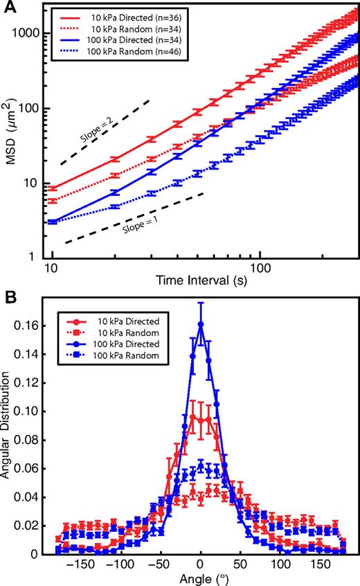Figure 5. Comparison of chemokinetic and chemotactic behavior. (A) The MSDs for neutrophils on 10- and 100-kPa substrates are shown for both random and directed migration. The cells move more efficiently on the stiffer substrate. (B) The angular distribution of steps is shown for neutrophils undergoing both chemokinesis and chemotaxis on a 60-second interval. Neutrophils chemotaxing toward a pipette tip showed more peaked distributions than neutrophils randomly migrating. For both chemokinetic and chemotactic behavior, however, the angular distribution of steps showed a greater peak on the 100-kPa substrates compared with the 10-kPa substrate for each condition. Migration is thus more persistent on stiffer substrates.