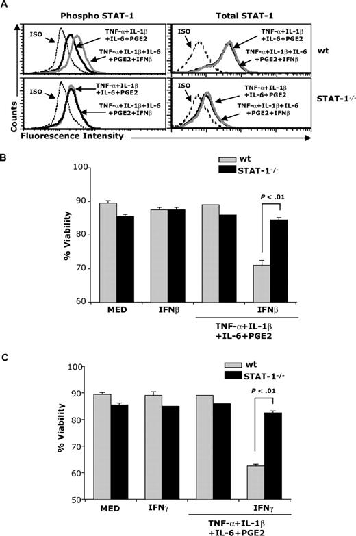 Figure 2. STAT-1 signaling is required for IFNβ-induced apoptosis. (A) wt and STAT-1−/− DCs were treated with the cytokine cocktail in the presence or absence of IFNβ (1000 IU/mL) for 30 minutes. DCs were fixed and permeabilized followed by intracellular staining for phospho–STAT-1 and total STAT-1; (B-C) wt and STAT-1−/− DCs were treated with the cytokine cocktail in the presence or absence of IFNβ (B) or IFNγ (C). Forty-eight hours later, DCs were subjected to apoptosis assays. Data are representative of 2 independent experiments with triplicate samples.