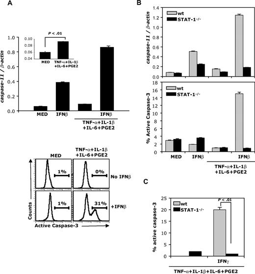 Figure 3. IFNβ induces caspase-11 expression and active caspase-3 in mature DCs. (A) B10.A DCs were treated with IFNβ or matured with the cytokine cocktail in the presence or absence of IFNβ (1000 IU/mL) and analyzed for caspase-11 expression by real-time RT-PCR (24 hours; top panel) and for levels of active caspase-3 by flow cytometry (48 hours; bottom panel). (B) wt and STAT-1−/− DCs were treated as in panel A and analyzed for caspase-11 expression and active caspase-3 levels. (C) wt and STAT-1−/− mice were matured with the cytokine cocktail in the presence or absence of IFNγ (100 ng/mL) and analyzed for levels of active caspase-3 by flow cytometry. Data are representative of 3 independent experiments.