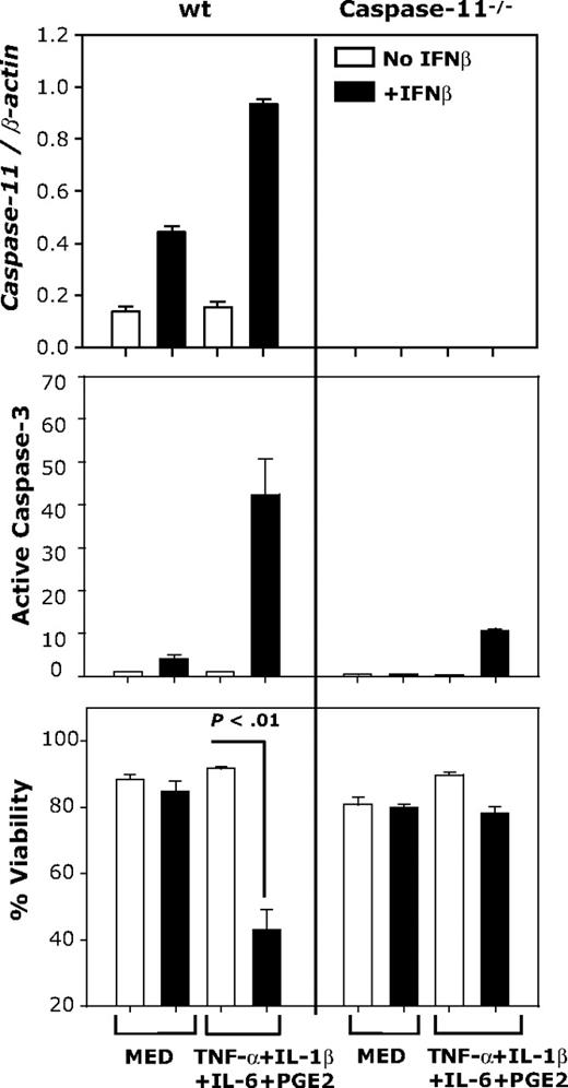 Figure 4. IFNβ-induced DC apoptosis requires caspase-11 expression. CD11c+ DCs generated from wt or caspase-11−/− mice were treated with IFNβ (1000 IU/mL) or the cytokine cocktail in the presence or absence of IFNβ (1000 IU/mL). Caspase-11 mRNA expression was determined by real-time RT-PCR (24 hours); active caspase-3 levels and apoptosis were determined by FACS (48 hours). Data are representative of 2 independent experiments with triplicate samples.