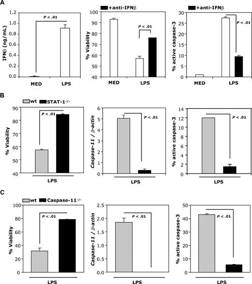 Figure 5. LPS-induced DC apoptosis requires IFNβ. (A) IFNβ production by DCs was measured by ELISA 24 hours after treatment with LPS (100 ng/mL; left panel). DCs were treated with LPS (100 ng/mL) and cultured in the presence or absence of neutralizing IFNβ Ab (10 μg/mL) and analyzed 48 hours later for levels of active caspase-3 and apoptosis by FACS (right and middle panels). (B) wt and STAT-1−/− DCs were treated with LPS (1 μg/mL) and analyzed for caspase-11 mRNA expression by real-time RT-PCR (24 hours), and for levels of active caspase-3 and viability (48 hours) by FACS. (C) wt and caspase-11−/− DCs were treated and analyzed as described in panel B. Data are representative of 2 independent experiments with triplicate samples.