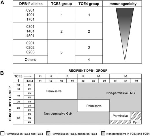 Figure 1. An algorithm for nonpermissive HLA-DPB1 disparities according to TCE3 or TCE4. (A) HLA-DPB1 alleles were classified into 3 groups (TCE3), or 4 groups (TCE4), on the basis of T-cell alloreactivity. TCE3 group 1 and TCE4 group 1: Alleles encoding antigens recognized by all T-cell clones studied by Zino et al.11 TCE3 group 2 and TCE4 group 2: Alleles encoding antigens recognized by some but not all T-cell clones studied by Zino et al.11 TCE 3 group 3: Alleles encoding antigens recognized by none of the T-cell clones studied by Zino et al.11 “Others” refers to all alleles that can be classified according to the algorithm of Zino et al.20 TCE4 group 3: DPB1*02, encoding antigens eliciting intermediate levels of MLR reactivity.13,14,21 TCE4 group 4: All alleles from TCE3 group 3 except for DPB1*02. (B) The 3 or 4 groups of HLA-DPB1 alleles can be present in different combinations in diploid cells. Numbers indicate the group of the first (before the slash) and the second (after the slash) HLA-DPB1 allele of donor or recipient. Classification of HLA-DPB1 group disparities as permissive or nonpermissive in GvH or HvG direction is indicated for all possible combinations. Note that all nonpermissive TCE3 disparities are also TCE4-nonpermissive (gray boxes). In contrast, only a part of the TCE3-permissive disparities are permissive also according to TCE4 (white boxes), whereas the remaining TCE3-permissive disparities score as nonpermissive in TCE4 (striped boxes).