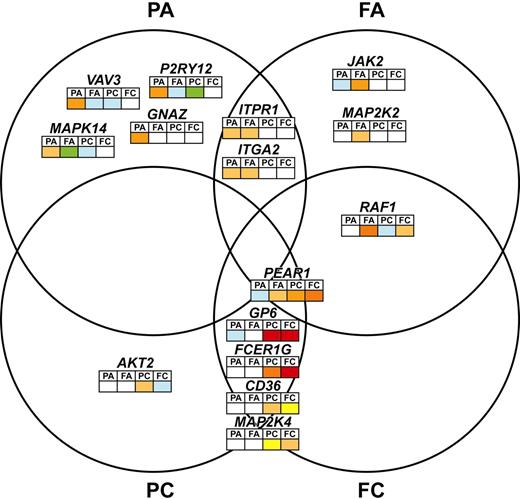 Figure 2. Venn diagram showing the associations between QTLs and platelet function. SNPs in 15 QTLs showed an association with one or more of the platelet function measurements at the P < .005 level and with a MAF > 0.01. The gene names of the QTLs are distributed among this Venn diagram according to the functional traits (PA, FA, PC, or FC) with which they are associated. Association with platelet functional measurement for each QTL, is shown by the colored squares that indicate the level of significance from blue (P < .10), green (P < .05), yellow (P < .01), gold (P < .005), light orange (P < .0005), dark orange (P < .001), and red (P < .0001).