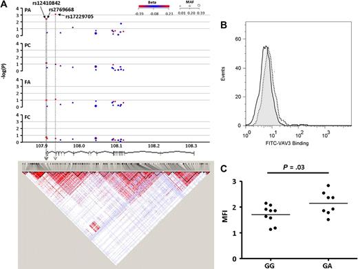 Figure 5. Associations and LD structure for VAV3. (A) Association of the 17 SNPs in the VAV3 locus on chromosome 1p13.3 for each of the 4 functional platelet responses (reading from the top; PA, PC, FA, and FC). Arrow indicates the SNP with the highest association in the PA response. LD structure is based on HapMap data (as described for Figure 4), and chromosomal position (in Mb) based on NCBI build 36 coordinates, showing Ensembl (version 49) gene structure. (B) Expression of VAV3 protein measured by flow cytometry in unstimulated platelets of subjects homozygous (GG) for the major allele of rs17229705 (solid line) or heterozygous (GA; dotted line). (C) Expression of VAV3 protein in platelets from 17 subjects who were either homozygous major (GG) or heterozygous (GA) for rs17229705.