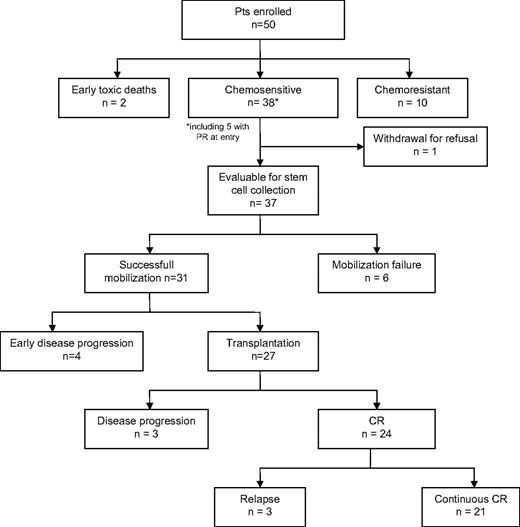 Figure 1. Main results for the 50 patients in the study.