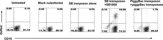 Figure 3. Development of B cells stably expressing transgene from SB100X-transfected CD34+ HPCs. CD34+ cells were nucleofected with SB transposon alone or with SB transposon + SB100X, or with piggyBac transposon + piggyBac, transposase or without DNA, respectively. Transfected cells were cocultured with MS-5 in medium supplemented with SCF and G-CSF. At day 28, cells were collected and analyzed for expression of CD19 and DsRed by flow cytometry.