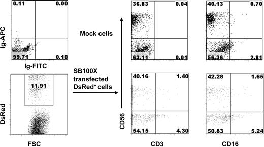 Figure 4. Stable transgene expression in NK cells differentiated from SB100X-transfected CD34+ HPCs. Transfected CD34+ cells were cocultured with irradiated AFT024 cells and the indicated cytokines. On day 28, cells were harvested and analyzed by flow cytometry. DsRed+ cells were derived from SB transposon + SB100X-transfected CD34+ HPCs after coculture on AFT024 stromal cells.