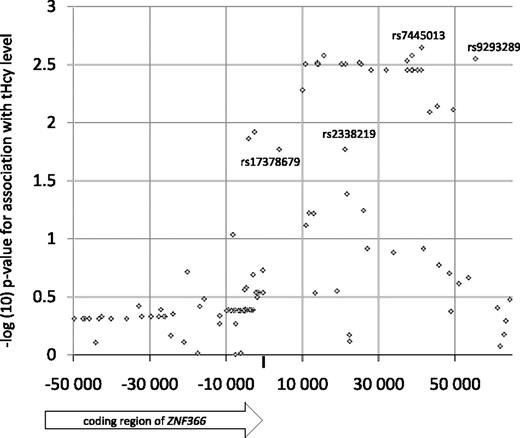 Figure 2. Association of plasma tHcy concentration with experimental and imputed SNPs in the PROCARDIS study. SNPs rs9293289, rs2338219, and rs17378679 were significantly associated with plasma tHcy (P < .05) and had an effect size larger than that of rs7445013 (β = −0.10).