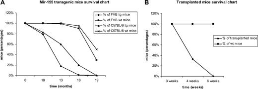 Figure 1. Comparative Kaplan Meier survival curve for MiR-155 transgenic mice. (A) Survival of FVB and C57BL/6 MiR-155 transgenics compared with their wild-type counterparts, showing shorter lifespan for the transgenic mice. (B) Survival of transplanted FVB mice compared with the wild-type controls; all transplanted mice were dead after 6 weeks, whereas all the wild-type controls were alive.