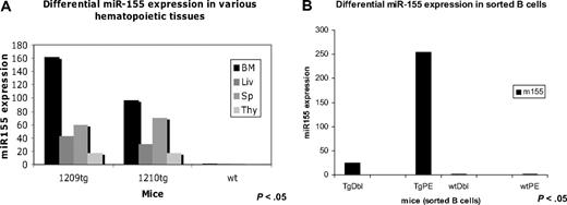 Figure 3. MiR-155 transgene is differentially expressed in various hematopoietic organs and B-cell subpopulations, as assessed by TaqMan assay. (A) TaqMan assay showed that MiR-155 has the highest expression in the bone marrow (BM = bone marrow; Liv = liver; Sp = spleen; Thy = thymus). Note: Tg1 belongs to the founding line F8, whereas tg2 belongs to the founding line F10. (B) TaqMan assay indicated that MiR-155 transgene is much more expressed in the pre-B cells than in the mature B ones (TgDbl = transgenic mature B cells; TgPE = transgenic pre-B cells; wtDbl = wild-type mature B cells; wtPE = wild-type pre-B cells). Note: Cells were sorted from transgenics belonging to the same founding line, F8.