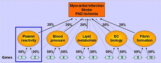 Figure 1. The utility of intermediate traits as end points. This greatly simplified schematic assumes there are 10 genes contributing equally to the clinical end point (ie, 10% each, faint dashed lines). Another level of complexity to the pathophysiology is superimposed by including 5 intermediate traits, each contributing 20% to the clinical outcome. In this example, genes 1 and 2 have a much larger effect on platelet reactivity (50%) than on the clinical end point (10%). Of course, environmental factors also play a major role in these end points (not shown).