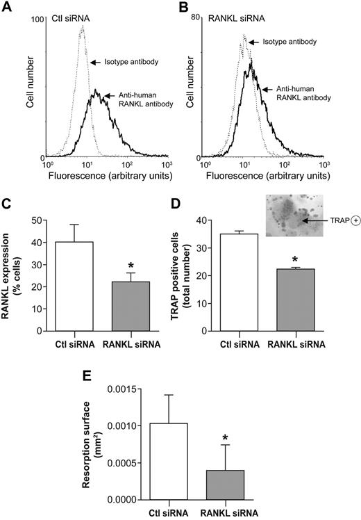 Figure 2. RANKL knockdown mediated by antisense RNA in PLB-985 neutrophil-like cells inhibits osteoclastogenesis. Flow cytometric analysis of RANKL expression by dbcAMP-differentiated PLB-985 cells transfected (A) with control nonsilencing antisense RNA (Ctl siRNA), or (B) with RANKL antisense RNA (RANKL siRNA). RANKL expression was examined 48 hours after transfection by incubating cells with an anti–human RANKL mAb followed by an FITC-conjugated anti–mouse F(ab′)2 antibody. Isotype controls are dotted tracings. (C) Histograms represent means (± SEM) of percentage of cells expressing RANKL (n = 3 independent experiments). (D) PLB-985 neutrophil-like cells (106/well) transfected with Ctl antisense RNA or RANKL antisense RNA for 48 hours were fixed with 2% PFA, repeatedly washed, and added to cultures of human peripheral blood monocytes in 96-well plates. After 10 days, TRAP-positive multinucleated cells were counted. Results are expressed as means (± SEM) of the number of multinucleated TRAP-positive cells/well (n = 3 independent duplicated experiments). (Inset) TRAP-positive multinucleated cell obtained after cocultures of human peripheral blood monocytes with transfected dbcAMP-differentiated PLB-985 cells (magnification, ×200). (E) PFA-fixed PLB-985 neutrophil-like cells transfected with Ctl antisense RNA or RANKL antisense RNA, were added to mature OCs on Osteologic discs. After 10 days of cocultures, cells were removed and surfaces of resorption (mm2) were measured by light microscopy using Imagepro software. Results are expressed as means (± SEM) of resorption area (n = 3 independent duplicated experiments). Statistical analysis: paired t test, *P < .05 (Ctl antisense RNA vs RANKL antisense RNA).