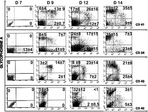 Figure 3. Kinetics of GPA, CD41, CD34, CD43, and CD42 expression during hematopoietic differentiation of H1 hES cells. Flow cytometric analysis of the expression of GPA (y-axis) and CD41, CD42, CD43, and CD34 (x-axis) was performed in hES cell differentiation culture. Plots represent the evolution of the respective proportions of different cell populations within the GPA-positive cells. The gates identifying cells expressing GPA alone or coexpressing CD41 and GPA were set to include only 7-AAD–negative cells. Gating was settled according the negative controls (not shown). Values in each quadrant are the mean ± SD of 3 independent experiments.