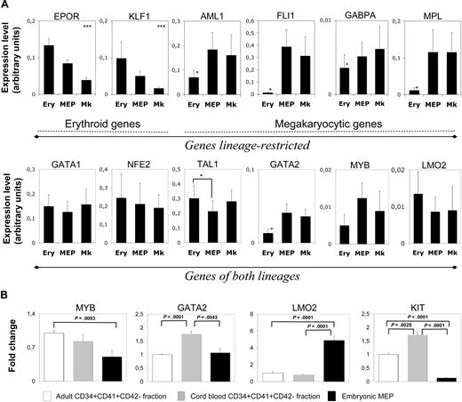 Figure 5. Embryonic MEPs coexpress erythroid and megakaryocytic genes. (A) Relative expression levels of 12 genes as assessed by quantitative RT-PCR. Genes were classified according to their restricted expression in the erythroid (EPOR and KLF1) or megakaryocytic (AML1, FLI1, GABPA, and MPL) lineages (top panel). The second group was composed of genes common to the 2 types of differentiation (GATA1, NFE2, TAL1, GATA2, MYB, and LMO2). Relative expression levels (fold change) of GPA+CD41+ (MEP) and GPA−CD41+ (MK) cells were reported to the expression levels measured in the GPA+CD41− (Ery) population. Values represent the mean ± SEM of at least 3 independent experiments. Details of the protocol for this analysis are specified in “Single-cell quantitative real-time PCR.” *Significant difference (P < .05). (B) Relative expression levels of MYB, GATA2, LMO2, and KIT transcripts in embryonic MEP versus cord blood and adult progenitor cells (CD34+CD41+CD42−). Values were reported to expression levels found in the adult CD34+CD41+CD42− fraction and represent the mean ± SEM of at least 3 independent experiments.