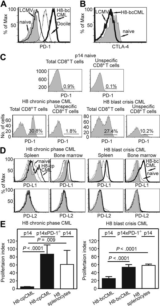 Figure 5. PD-1 and PD-L expression in H8-cpCML and H8-bcCML mice. (A) PD-1 expression on purified p14 CD8+ T cells (CD45.1+CD8+Va2+) isolated from the spleen 5 days after transfer. One representative histogram from 3 to 5 mice per group is shown. One representative experiment of 2 is shown. (B) CTLA-4 expression on purified p14 CD8+ T cells (CD45.1+CD8+Vα2+) isolated from the spleen 7 days after transfer. (C) cpCML and bcCML were generated from C57BL/6 donors in p14 recipient mice. PD-1 expression on total CD8+ T cells and on unspecific CD8+ T cells (Vα2+) in the spleen was analyzed 20 days after bone marrow transplantation. One representative FACS plot of 3 is shown. (D) PD-L1 and PD-L2 expression in the spleen and bone marrow of H8-cpCML, H8-bcCML, and naive C57BL/6 mice. Cells were gated on GFP-positive granulocytes (CML) and granulocytes (naive C57BL/6) in the forward/side scatter. Shaded area, isotype control H8-cpCML or H8-bcCML; thin line, isotype control naive C57BL/6. One representative experiment of 3 is shown. (E) Purified p14 CD8+ T cells or p14 × PD-1−/− CD8+ T cells were restimulated in vitro with granulocytes from H8-cpCML, H8-bcCML, or H8 mice. 3H-thymidine incorporation is shown as proliferation index (mean ± SEM of 3 mice per group).