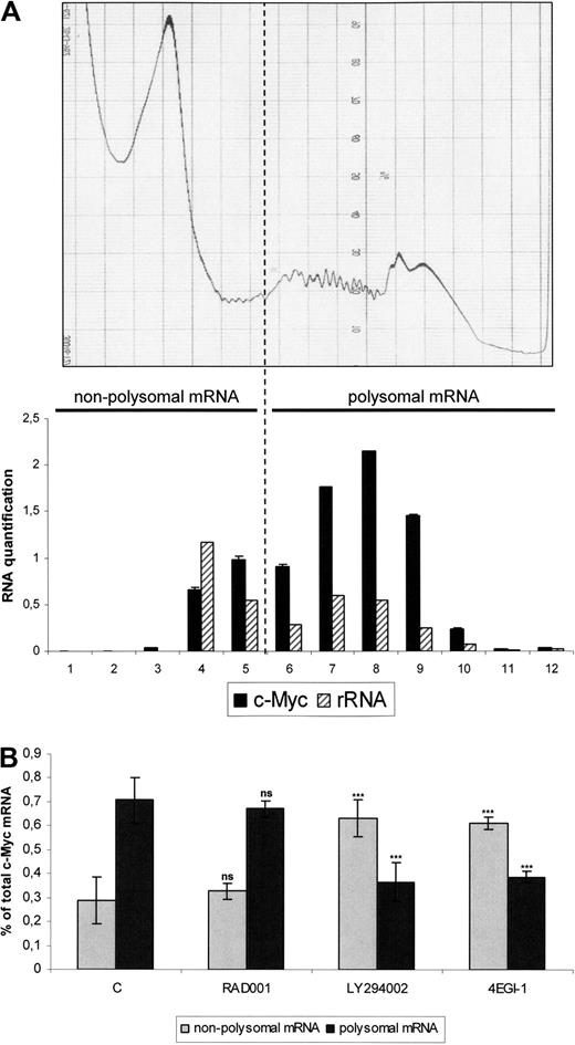 Figure 5. 4EGI-1 but not RAD001 reduces the translation rate of c-Myc mRNA in the MOLM-14 AML cell line. Cells from the MOLM-14 leukemic cell line were cultured 12 hours at 106/mL in αMEM containing 10% FCS, without or with 10 nM RAD001, 25 μM LY294002, or 100 μM 4EGI-1, and then cell lysates from 108 cells were subjected to sucrose density centrifugation and processed as described in “Polysome analysis.” Gradients were fractioned using a Beckman fraction recovery system connected to a LKB UV detector. UV recording is shown in the top level of the figure. Twelve fractions were collected, and ribosome content of each fraction was determined by Agilent 2100 electrophoresis for both 18S and 28S rRNA (A, bottom panel). RNA was extracted in each fraction separately and quantitative reverse-transcribed PCR for c-Myc expression was performed; results are expressed together with rRNA quantifications results in the lower panel of the panel A. From these experiments, we determined that free ribosome subunits sedimented in fractions 4 and 5. Accordingly, fractions 6 to 12 were considered to contain polysomes. The nonpolysome (fractions 1-5– and polysome (fractions 6-12)–containing fractions were then pooled and analyzed by real-time quantitative PCR for c-Myc mRNAs. Results are expressed as a percentage of nonpolysomal-bound or polysomal-bound c-Myc mRNA relative to the total c-Myc mRNA amount (B).