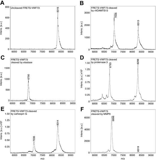 Figure 2. Mass spectrometry analysis of FRETS-VWF73 cleaved by leukocyte proteases. Commercial FRETS-VWF73 peptide was incubated without (A), and with recombinant ADAMTS13 (rADAMTS13; B), neutrophil elastase (C), PR3 (D), cathepsin G (E), and MMP9 (F) at 30°C for 60 minutes. The digested materials were analyzed by MALDI-TOF mass spectrometry. The masses of the major peaks were compared with the calculated molecular weights of carboxyl terminus fragments of FRETS-VWF73. The mass of the major peak arising from rADAMTS13 cleavage and cathepsin G cleavage corresponds to cleavage at the M1605-Y1606 peptide bond. The major peaks resulting from neutrophil elastase cleavage and PR3 cleavage correspond to cleavage at the V1607-T1608 peptide bond. The major peak resulting from cleavage by MMP9 corresponds with cleavage at M1606-V1607. The mass spectrometry margin of error is 0.2%.