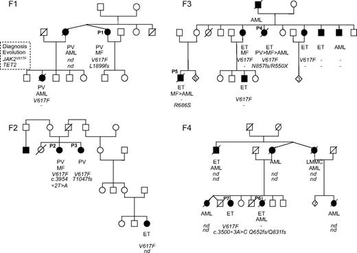 Figure 1. Pedigrees of 4 MPN families (F1, F2, F3, and F4) showing that TET2 mutations do not segregate with the MPN phenotype. Filled symbols represent patients; their clinical phenotype is indicated below. Under each symbol, the first top line represents the phenotype at the time of diagnosis; the second line, the evolution (blank where there is none); the third line, the JAK2V617F status (V617F when the mutation was found; – otherwise); and the fourth line, any TET2 mutation. Mutations are annotated in amino acid one-letter code. nd indicates not done.