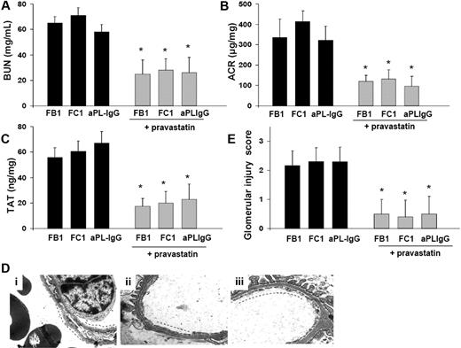 Figure 6. Pravastatin prevents glomerular injury in FB1-, FC1-, and aPL-IgG–treated mice. (A) BUN levels. Mice treated with pravastatin exhibited a significant decrease in BUN levels compared with FB1-, FC1-, and aPL-IgG–treated mice, respectively. *P < .005. (B) Urinary ACR. Pravastatin treatment prevented the development of albuminuria in FB1-, FC1-, and aPL-IgG–treated mice. *P < .005. (C) TAT complex levels. FB1-, FC1-, and aPL-IgG–treated mice that received pravastatin treatment showed decreased TAT levels compared with mice did not receive pravastatin. *P < .001. Pravastatin diminished TAT values in FB1-treated mice. *Different from mIgG-treated mice (P < .001). (D) Transmission electron micrograph of glomeruli. Patent capillary lumina, thin endothelium with abundant and well-preserved fenestrations (—) is observed in FB1- (i), FC1- (ii), and aPL-IgG–treated mice (iii) that received pravastatin treatment. (E) Glomerular injury scores. Pravastatin treatment diminished glomerular injury scores in FB1-, FC1-, and aPL-IgG–treated mice. *P < .01.