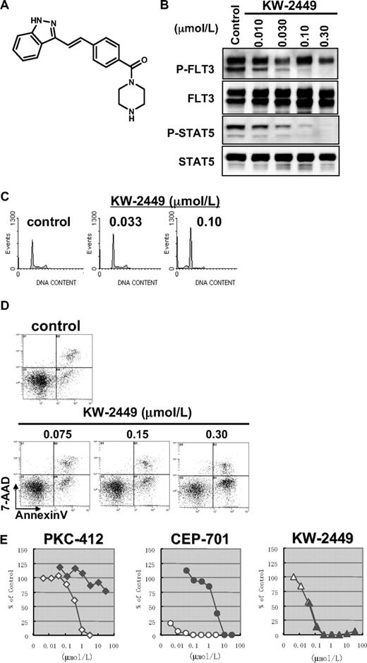 Figure 1. Effects of KW-2449 on human leukemia cells with FLT3 mutation. (A) Chemical structure of KW-2449. (B) MOLM-13 cells, which express FLT3/ITD, were treated with KW-2449 at the indicated concentrations for 24 hours. For analysis of FLT3 and its phosphorylated form (P-FLT3), the blots of immunoprecipitated FLT3 SDS-PAGE samples were analyzed by antiphospho-tyrosine (P-Tyr) antibody and anti-FLT3 antibody. For detection of STAT5 and its phosphorylated form (P-STAT5), total cell lysate SDS-PAGE samples were analyzed by anti-P-STAT5 antibody and anti-STAT5 antibody as primary antibodies. Phosphorylation levels of FLT3 and STAT5 were decreased by KW-2449 in a dose-dependent manner. (C) MOLM-13 cells were treated with various concentrations of KW-2449 for 48 hours, and cell-cycle distribution was analyzed as described in “Growth inhibition profile and cell-cycle analysis.” (D) MOLM-13 cells were treated with various concentrations of KW-2449 for 48 hours, and apoptosis induction was analyzed by 7-amino-actinomycin D/annexin V staining. (E) Inhibitory effects of hAGP on growth inhibitory activity against MOLM-13 cells were compared between KW-2449 and potent FLT3 inhibitors, PKC-412 and CEP-701, as described in “Effects of hAGP on growth inhibitory activity by FLT3 inhibitors.” Growth inhibitory activity of KW-2449 was not affected by the presence of hAGP.
