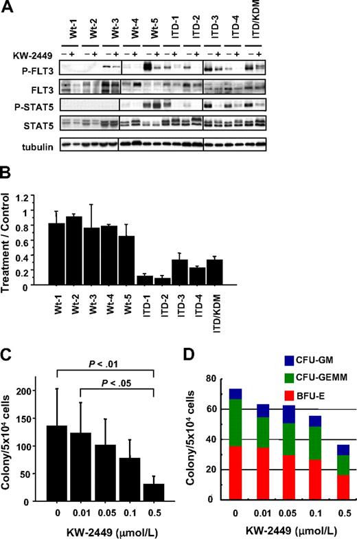 Figure 2. Inhibitory effects of KW-2449 on primary AML and colony-forming cells. (A) Ten AML samples consisting of 5 with wild-type FLT3 (Wt-1 to Wt-5), 3 with FLT3/ITD (ITD-1 to ITD-4), and one with both FLT3/ITD and FLT3/KDM (ITD/KDM), were analyzed. Primary AML cells were incubated with or without KW-2449 at 0.1 μM for 6 hours, and then phosphorylation status of FLT3 and STAT5 was analyzed. KW-2449 reduced phosphorylation levels of FLT3 and STAT5 in all AML samples with FLT3 mutations. In the Wt-5 sample, KW-2449 reduced the phosphorylation level of FLT3 but not of STAT5. Vertical lines have been inserted to indicate a repositioned gel lane. (B) AML cells were suspended in methylcellulose semisolid medium containing human stem cell factor, GM-CSF, and interleukin-3 with or without 0.1 μM KW-2449. Colonies were counted after 14 days. Mean treatment/control ratio ± SD from 3 experiments in each sample are shown. In accordance with the down-regulation levels of FLT3 and STAT5 phosphorylations, KW-2449 inhibited the colony formations in all AML samples with FLT3 mutations. In the Wt-5 sample, weak inhibition of the colony formation seems to reflect the sustained STAT5 activation induced by another activation mechanism. (C) Mononuclear cells from human CB were plated in the complete methylcellulose semisolid medium with an increasing concentration of KW-2449. After 14 days of culture, BFU-E, CFU-GM, and CFU-GEMM colonies were counted. Mean total colony numbers ± SD at the indicated concentrations of KW-2449 are shown (n = 5). Although KW-2449 inhibited a total number of colonies in a dose-dependent manner, the Bonferroni test revealed that the statistical significances were found between control and at the 0.5 μM (P < .01), and at the .01 μM and at the 0.5 μM (P < .05). (D) The representative result of the distribution of BFU-E, CFU-GM, and CFU-GEMM colonies from 1 CB sample is shown. Although KW-2449 inhibited the colony formation of CB mononuclear cells in a dose-dependent manner, the distribution of BFU-E, CFU-GM, and CFU-GEMM colonies was not affected by the KW-2449 treatment.