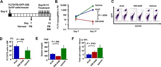 Figure 5. Inhibition effects on FLT3/ITD-GFP-32D cells in C3H/Hej-mice syngeneic transplantation model. (A) C3H/Hej mice were inoculated with 2 × 106 of FLT3/ITD-GFP-32D cells on day 0. From the 10th day after inoculation, mice were administrated with KW-2449 at 40 mg/kg (orally) twice a day, AraC at 150 mg/kg (intravenously) daily or vehicle for 4 days (n = 5 in each group). PB was collected from each mouse on day 7 and day 13. BM was collected on day 13. (B) Human FLT3 transcripts in PB were quantitated by a real-time fluorescence detection method. Mean transcript level ± SEM is shown. KW-2449 treatment significantly repressed the expansion of FLT3/ITD-GFP-32D cells compared with AraC treatment (P = .026 by the repeated-measures analysis of variance method). (C) The percentage of residual BM FLT3/ITD-GFP-32D cells in femur was compared among vehicle-, KW-2449-, and AraC-treated mice using flow cytometry. Representative results of flow cytometry are shown. (D) Mean percentages of residual FLT3/ITD-GFP-32D cells plus or minus SD in BM are shown. KW-2449 significantly eradicated FLT3/ITD-GFP-32D cells from BM compared with AraC treatment (P = .009 by the Mann-Whitney U test). (E) Mean spleen weight of each treated mouse ± SD is shown. The mean spleen weight of KW-2449-treated mice was significantly lighter than that of AraC-treated mice (P = .009 by the Mann-Whitney U test). (F) Mean total cell numbers in femur after the treatment ± SD are shown. The total number of nuclear cells in the BM of AraC-treated mice was significantly decreased compared with that of KW-2449–treated mice (P = .016 by the Mann-Whitney U test).