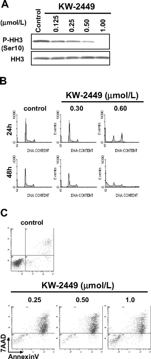 Figure 6. Effects of KW-2449 on human leukemia cells without FLT3 mutation. (A) RS4;11 cells, which express wild-type FLT3/ITD, were treated with KW-2449 at the indicated concentrations for 30 minutes. Total and phosphorylation levels of HH3 were analyzed by Western blotting. (B) RS4;11 cells were treated with various concentrations of KW-2449 for 48 hours, and cell-cycle distribution was analyzed. (C) RS4;11 cells were treated with various concentration of KW-2449 for 48 hours, and apoptosis induction was analyzed.