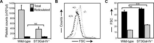 Figure 5. Effect of ST3Gal-IV sialyltransferase deficiency on platelet production. (A) Staining of reticulated platelets with Thiazole Orange revealed that the total number of circulating reticulocytes was similar between the 2 genotypes (P = .490). Total WT and ST3Gal-IV−/− platelet counts are also shown (). (B) The average ST3Gal-IV−/− platelet size (dotted line) was larger than that of ST3Gal-IV+/+ and ST3Gal-IV+/− platelets (solid and broken lines, respectively) as measured by FSC, indicating that the ST3Gal-IV−/− platelet population on average is younger. (C) Reticulated platelets (■) were larger than nonreticulated platelets () in both genotypes. The nonreticulated platelets were larger in ST3Gal-IV−/− mice than in WT mice.