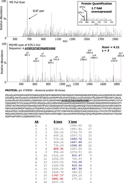 Figure 2. Identification and quantitation of ribosomal protein S6 kinase in NPM/ALK-transfected cells by ICAT-MS/MS. Data-dependent MS full scan and MS/MS sequencing scans for one ICAT pair identified ribosomal protein S6 kinase as 1.7-fold overexpressed (inset) in the NPM/ALK-positive cell lysate in comparison with NPM/ALK-negative cells. The b ion series (blue) and the y ion series (red) match the tryptic peptide AYSFCGTVEYMAPEVVNR. The b ion series represent peptide fragment ions wherein the positive charge is maintained on the N-terminus (blue m/z peaks and numbers). The y ion series represent the fragment ions where the positive charge is retained on C-terminus (red m/z peaks and numbers). The differences between successive b or y ions in a series indicate the m/z of the individual amino acid residues. In the bottom panel, column 1 (AA) represents amino acid residue. Column 2 represents the position of the amino acid residue in the peptide identified read in the N-to-C-terminal direction. Column 3 represents the m/z of the peptide at a specific amino acid position in the identified peptide read from an N-to-C-terminal direction. Column 4 represents the m/z of the peptide at a specific amino acid position C-to-N-terminal direction. Column 5 represents the position of the amino acid residue in the peptide read from the C-to-N-terminal direction.