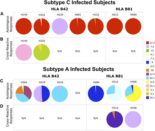 Figure 4. TCRBV usage in TL9-specific CD8 T-cell populations differs according to the infecting HIV-1 subtype. Each pie chart shows the relative TCRBV usage in TL9-specific CD8 T-cell populations from persons infected with subtype C (A-B) and subtype A (C-D). The color code for the different TRBV gene fragments (ImMunoGeneTics nomenclature) is shown on the right. The top panels (A,C) represent CD8 T-cell populations identified with the autologous subtype-specific tetramer only; the bottom panels (B,D) represent cross-reactive CD8 T-cell populations. N/A indicates not available (population not detected). Full clonotypic sequence information and tetramer binding patterns are shown in supplemental Figure 1.