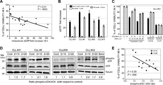 Figure 3. Increase of intracellular dGTP and dCK phosphorylation at Ser-74 correlates with forodesine-induced cell death in CLL cells. (A) Cell viability (analyzed by annexin V binding) after forodesine 2 μM and dGuo 10 μM treatment for 48 hours was plotted against the intracellular dGTP fold increase observed after 18 hours of treatment as described in “Methods” in 26 CLL cases. (B) Cells from 4 patients with CLL were treated with forodesine and dGuo, fludarabine, or the combination of fludarabine and forodesine for 18 hours. Intracellular dGTP levels were quantified as described in “Methods.” (C) Primary CLL cells were incubated with forodesine 2 μM and dGuo (10 and 20 μM), fludarabine (7.5 μM), or bendamustine (25 μM) in the presence or absence of deoxycytidine (5 and 10 μM), and cell viability was analyzed at 24 hours. One representative CLL case of 5 cases analyzed is shown. (D) Cells from 4 representative patients with CLL were treated with forodesine 2 μM and dGuo (10 and 20 μM) or bendamustine (25 μM) for 10 (CLL no. 31) and 16 (CLL nos. 6, 36, and 42) hours. Protein extracts were subjected to Western blot with the antiphospho-Ser-74 dCK antibody and with the goat anti-dCK antibody as a control for dCK expression. α-Tubulin was used as loading control, and the ratio phospho dCK/dCK is shown. Four representative cases are shown. (E) Densitometric protein quantification of phospho dCK/dCK ratio was performed in 6 CLL cases treated with forodesine (2 μM) and dGuo (10 and 20 μM) and plotted against cell viability (analyzed by annexin V binding) after 48 hours of forodesine and dGuo treatment. Correlation coefficient and P value are shown.