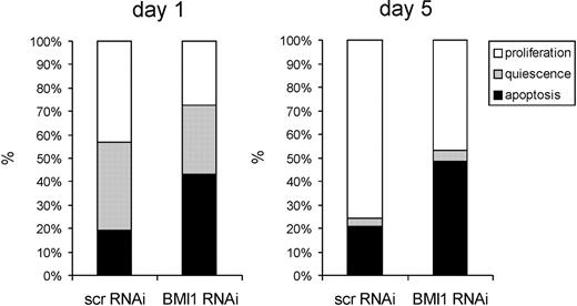 Figure 3. BMI1 knockdown induces apoptosis in CD34+38− cells. CB CD34+ cells were transduced with control (scrambled) scr-RNAi or BMI1-RNAi particles and sorted, and single cells were deposited in 96-well plates and cultured in stroma-free conditions (IMDM supplemented with 10% FCS, 10 ng/mL IL-3, and 100 ng/mL TPO). Wells were evaluated microscopically 1 day and 5 days after plating, and wells were classified as quiescence if 1 live cell was observed; if multiple cells were observed, they were classified as proliferation; and if no cells were seen, they were classified as apoptosis. A representative experiment of 3 independent experiments is shown, whereby individual 96 wells per group were analyzed.