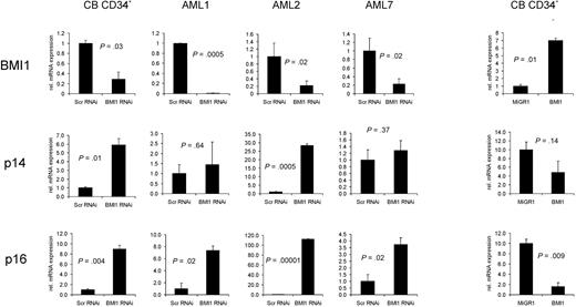 Figure 6. Down-regulation of BMI1 expression in CB or AML CD34+ cells results in derepression of p14ARF and p16INK4a. CB or AML CD34+ cells were transduced with scrambled RNAi or BMI1-RNAi lentiviral vectors and sorted, and RNA was isolated. Quantitative RT-PCRs were performed to determine the expression levels of BMI1, p14ARF, and p16INK4a. As a control, BMI1 was overexpressed in CB CD34+ cells, and quantitative RT-PCR analysis was performed (right panels).