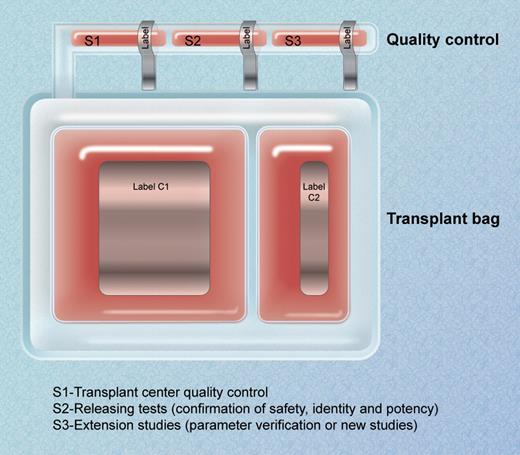 Representation of a cord blood bag including small segments that are unmistakably linked to the principal transplantation product. Samples contained in the segments can be used for specific tests with 1 segment still remaining for additional quality control assays to be performed at the transplantation center. Such tests may include assays for transmissible diseases (either infectious or genetic markers), identity tests (HLA and ABO), and efficacy tests (CFU and functional flow cytometry). Professional illustration by A. Y. Chen.