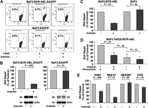 Figure 2. BCR-ABL increases SSA repair frequency. Changes in SSA repair frequency were determined by flow cytometry in response to I-SceI–induced DSBs in cells left untreated or treated with imatinib (1 μM) for 48 hours using the SAGFP reporter. BaF3 and BaF3.BCR-ABL cells stably (A-B) or transiently (C) expressing the SAGFP reporter were used. GFP+ cells were counted by flow cytometry (A dot plot of typical experiments) and compared with untreated samples (B-C, n = 3). Cellular expression of HA-tagged I-SceI (HA) and actin was detected by immunoblotting, as indicated (B bottom panels). (D) BaF3 cells with inducible BCR-ABL were either left untreated or treated with doxycycline to induce BCR-ABL expression (n = 4). (E) K562 (n = 3) and Meg-01 (n = 4) cells (expressing the BCR-ABL oncogene) as well as HEK293 (n = 4) and COS (n = 3) cells (BCR-ABL–negative) were used to measure SSA frequency, as indicated.