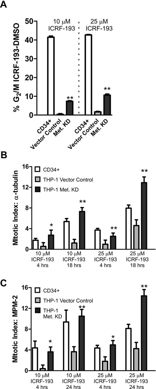Figure 3. The reduction of Metnase restores mitotic arrest in THP-1 cells. (A) CD34+ progenitors and THP-1 cells stably transduced with a vector control or the Metnase shRNA vector were treated with 10 or 25 μM ICRF-193 for 24 hours and then evaluated for the increase in G2/M cell-cycle fraction by propidium iodide DNA staining. (B) Mitotic arrest was induced by 10 or 25 μM ICRF-193 for 4 or 18 hours in CD34+ cells, and THP-1 cells stably transduced with a vector control or the Metnase shRNA vector. Metaphase cells were imaged by tubulin immunofluorescence and DAPI nuclear morphology, and quantified as a percentage of the total cell population. (C) Mitotic arrest induced by 10 or 25 μM ICRF-193 for 4 or 24 hours in CD34+ cells, and THP-1 cells stably transduced with a vector control or the Metnase shRNA vector. Cells in mitosis were imaged by MPM-2 immunofluorescence and quantified as a percentage of the total population. Repressing Metnase increased the mitotic arrest of the THP-1 cells after ICRF-193 exposure so that they approximated the arrest of CD34+ cells. All experiments represent the average of at least 3 independent experiments, ± SEM. *Student t test (P < .05); **Student t test (P < .01).