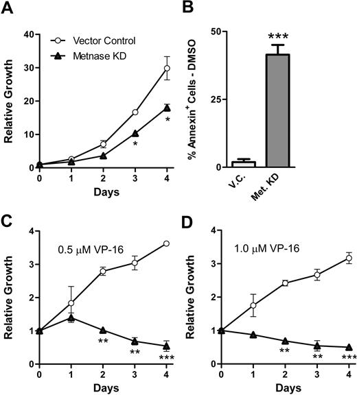 Figure 5. Metnase protects cells from the cytotoxic effects of the clinically relevant Topo IIα inhibitor VP-16. (A) Proliferation was measured in THP-1 cells expressing Metnase shRNA or vector control using growth curves. (B) THP-1 cells expressing Metnase shRNA or a vector control were subjected to 24 hours of 0.5 μM VP-16 and then analyzed for apoptosis using annexin-V expression. (C-D) THP-1 cells transfected with control vector proliferate in the presence of 0.5 μM (C) or 1.0 μM (D) VP-16, but THP-1 cells expressing Metnase shRNA do not. Data are averages (± SEM) of triplicate experiments performed twice. *Student t test (P < .05); **Student t test (P < .01); ***Student t test (P < .005).