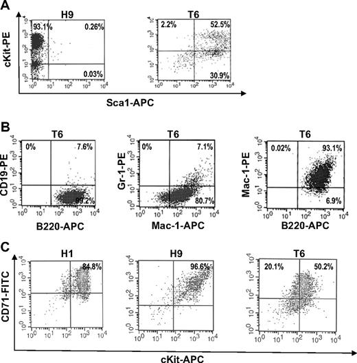 Figure 3. T6 cells derived from Tr/Tr mice are Sca1+ stem/progenitors. (A) Flow cytometric analysis of H9 cells (derived from H/H tumors) and T6 cells (derived from Tr/Tr tumors) stained with anti-cKit and anti-Sca1 antibodies. (B) T6 cells are bipotent cells. Flow cytometric analysis of T6 cells stained with anti-CD19, anti-B220, anti-Gr1, and anti-Mac1 antibodies. (C) Flow cytometric analysis of H1, H9, and T6 cells stained with anti-CD71 and anti-cKit antibodies.