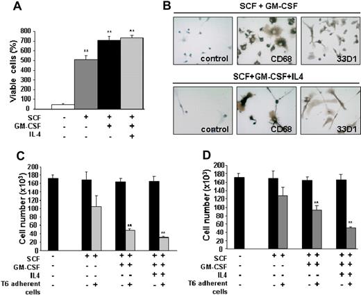 Figure 5. T6 cells undergo differentiation to macrophages and DCs in response to GM-CSF and inhibit proliferation of erythroleukemic cells in vitro. (A) T6 (5 × 104) cells were cultured for 3 days in the presence of SCF: SCF + GM-CSF and SCF + GM-CSF + IL-4. The number of viable cells was calculated using the trypan blue exclusion assay. Results from triplicate experiments (mean ± SEM) are presented as the percentage of viable cells (number of cells at day 3 to number cells at day 0). **Significant differences between the no cytokine control and cytokine-treated cells (P < .005). (B) Immunohistochemical staining of adherent T6 cells, after 3 days of incubation with SCF + GM-CSF or SCF + GM-CSF + IL-4 for CD68 (macrophage marker) and 33D1 (DC marker). Brown color represents positive staining. For negative controls, the primary antibody was omitted. Original magnification ×400. T6 cells were cultured with 100 ng/mL SCF, GM-CSF, or IL-4 for 3 days. The adherent cells from this treatment (C) or culture supernatant (D) was added to 5 × 104 CB3 cells for an additional 3 days. Viable cells were determined using the trypan blue exclusion assay. Results are reported as the mean ± SEM of 3 separate experiments. **P < .005. (B) Slides were viewed with a Leica DM LB2 microscope using a 40×/0.65NA air objective. Staining was done with Carazzi hematoxylin. Images were acquired using a Leica DFC300FX camera and Leica Application Suite software (Version 3.1.0).