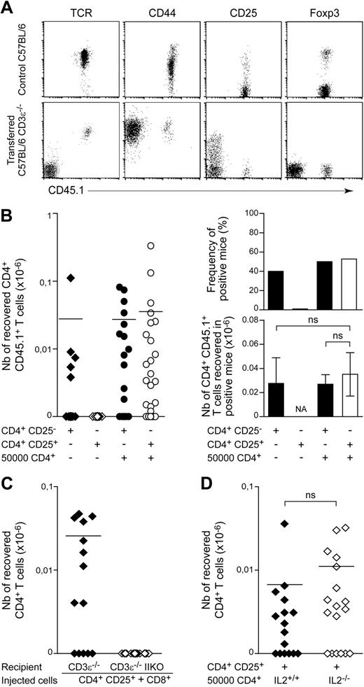 Figure 2. The spontaneous proliferation of regulatory T cells in a lymphopenic environment requires help from conventional CD4+ T cells. (A) A total of 102 LN CD4+ T cells from CD45.1 C57BL/6 mice was injected into CD45.2 C57BL/6 CD3ϵ−/− mice. Fluorescence dot plots show TCR, CD44, CD25, and Foxp3 expression on gated CD4+CD8− T cells from a control C57BL/6 mouse and a representative recipient mouse 1 month after transfer. (B) A total of 102 CD4+CD25− or CD4+CD25+ T cells from CD45.1 C57BL/6 mice was injected into CD45.2 C57BL/6 CD3ϵ−/− mice, alone or together with 5 × 104 CD45.2+CD4+ T cells. One month later, the presence of CD45.1+CD4+CD8− TCR+ cells in the periphery of recipient mice was individually tested. Left: absolute numbers of CD45.1+CD4+CD8− TCR+ cells; right: frequency of positive mice and absolute numbers of CD45.1+CD4+CD8− TCR+ cells in positive mice. Data show means ± SEM of mice for 3 independent experiments. (C) A total of 102 CD4+CD25+ T cells from CD45.1 C57BL/6 mice and 5 × 104 CD8+ T cells from CD45.2 C57BL/6 mice was cotransferred into C57BL/6 CD3ϵ−/− IIKO or C57BL/6 CD3ϵ−/− mice. The absolute numbers of CD45.1+CD4+CD8− TCR+ cells recovered from recipient mice 1 month after transfer are shown. (D) A total of 102 CD45.1+CD4+CD25+ T cells from C57BL/6 mice was coinjected with 5 × 104 CD4+ T cells from C57BL/6 IL-2−/− mice or C57BL/6 control littermates into C57BL/6 CD3ϵ−/− mice. Absolute numbers of CD45.1+CD4+CD8− TCR+ cells recovered from recipient mice 1 month after transfer are shown. Each point represents an individual mouse, and horizontal lines represent the mean number of CD45.1+CD4+CD8− TCR+ cells in positive mice (B left; C-D). ns, not significant; NA, not applicable.