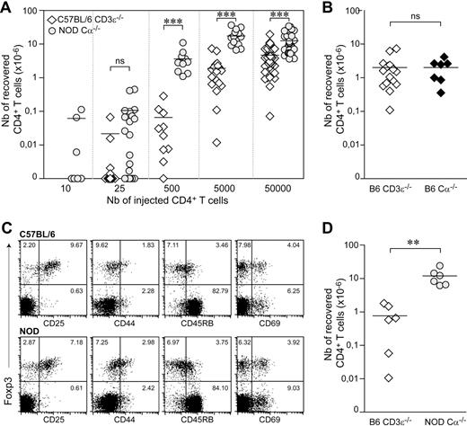 Figure 4. Increased frequency of peripheral CD4+ T cells undergoing spontaneous proliferation in NOD mice compared with C57BL/6 mice. (A) A total of 10 to 5 × 104 LN CD4+ T cells from CD45.2 NOD mice was transferred into CD45.1 NOD Cα−/− mice. A total of 25 to 5 × 104 CD4+ T cells from CD45.1 C57BL/6 mice was injected into CD45.2 C57BL/6 CD3ϵ−/− mice. Absolute numbers of CD45.2+CD4+CD8− TCR+ cells in NOD Cα−/− recipient mice (circle) and of CD45.1+CD4+CD8− TCR+ cells in C57BL/6 CD3ϵ−/− recipient mice (diamond) are shown. (B) Absolute numbers of CD45.1+CD4+CD8− TCR+ cells in C57BL/6 CD3ϵ−/− mice or C57BL/6 Cα−/− mice receiving 5 × 103 CD4+ T cells. (C) CD25, CD44, CD45RB, and CD69 expression as a function of Foxp3 expression on gated LN CD4+CD8− T cells was compared between C57BL/6 and NOD mice. The dot plots shown were generated from the data for 1 mouse, but are representative of 3 individual experiments with at least 2 mice per group. (D) LN CD4+ T cells from C57BL/6 and NOD mice were purified, and naive CD4+ T cells were electronically sorted on the basis of their nonexpression of CD25 and their low or absent expression of CD44. A total of 5 × 103 purified naive CD4+ T cells (CD4+CD25−CD44−/low) from CD45.1 C57BL/6 mice and CD45.2 NOD mice was injected into CD45.2 C57BL/6 CD3ϵ−/− mice and CD45.1 NOD Cα−/− mice, respectively. Absolute numbers of recovered CD45.1+CD4+CD8− TCR+ cells in C57BL/6 CD3ϵ−/− recipient mice and of CD45.2+CD4+CD8− TCR+ cells in NOD Cα−/− recipient mice are shown 1 month after transfer. ***P < .001; **P < .01; ns, not significant. Each point represents an individual mouse, and horizontal lines represent the mean number of CD4+ T cells recovered from positive mice (A-B, D).